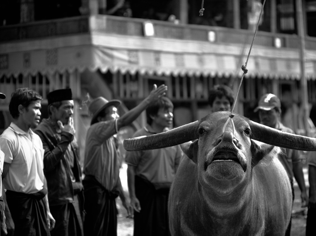 Yacob Kakke景点图片