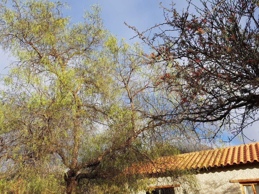 Valle de los Condores-塔里哈必去景点