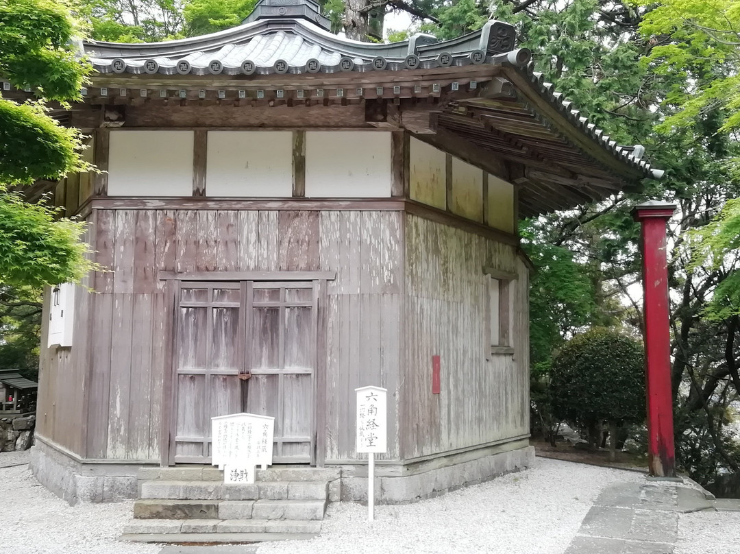 Tairyu-ji Temple  Niomon-阿南市必去景点