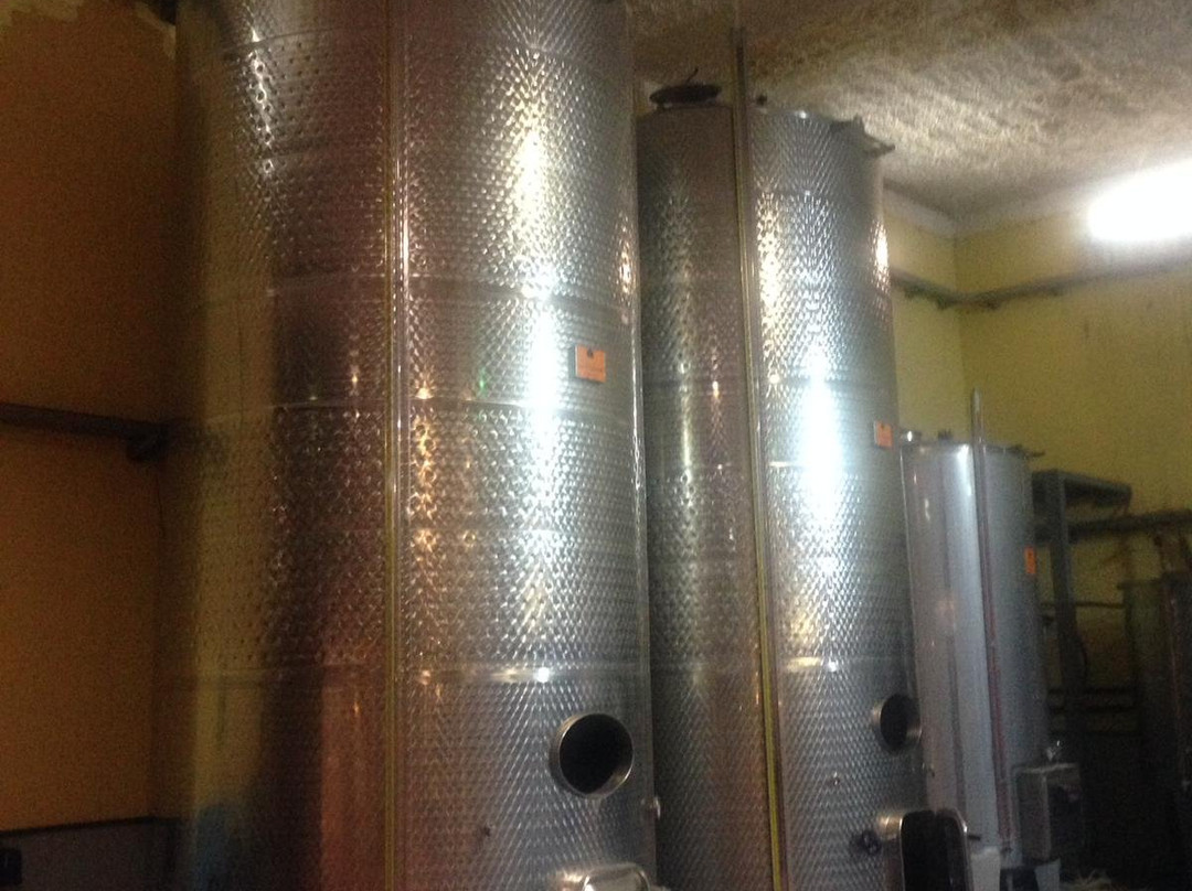 Bodegas Las Tirajanas景点图片