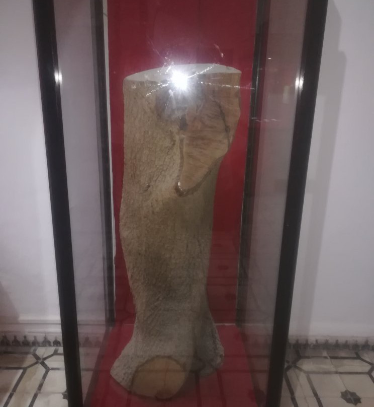 Ouled Akkou旅游攻略图片