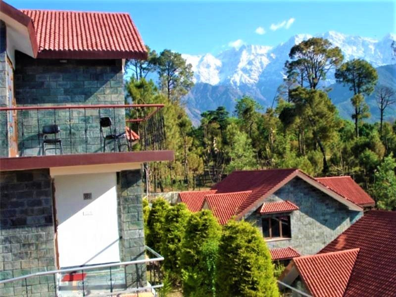 Nature Bloom Resort主图