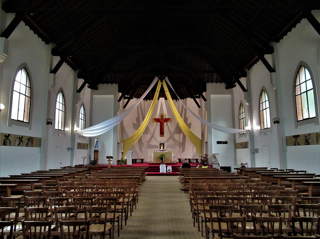 Eglise Saint Louis景点图片