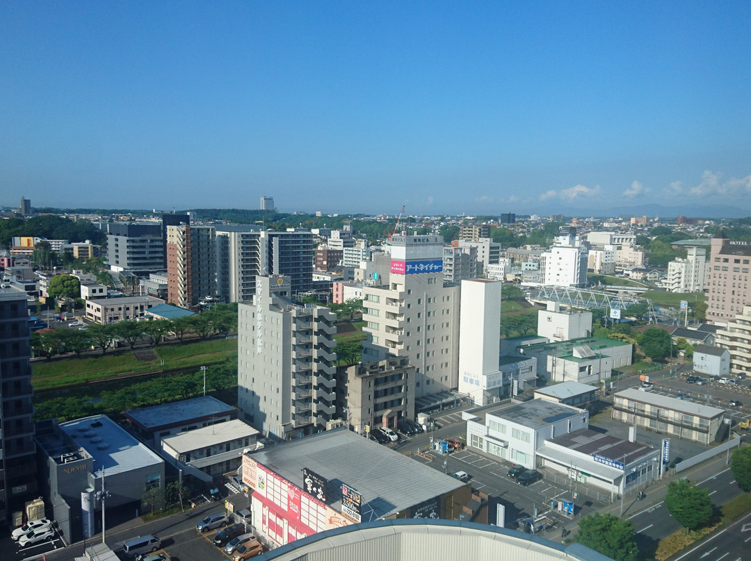 水户戴哇鲁内酒店主图