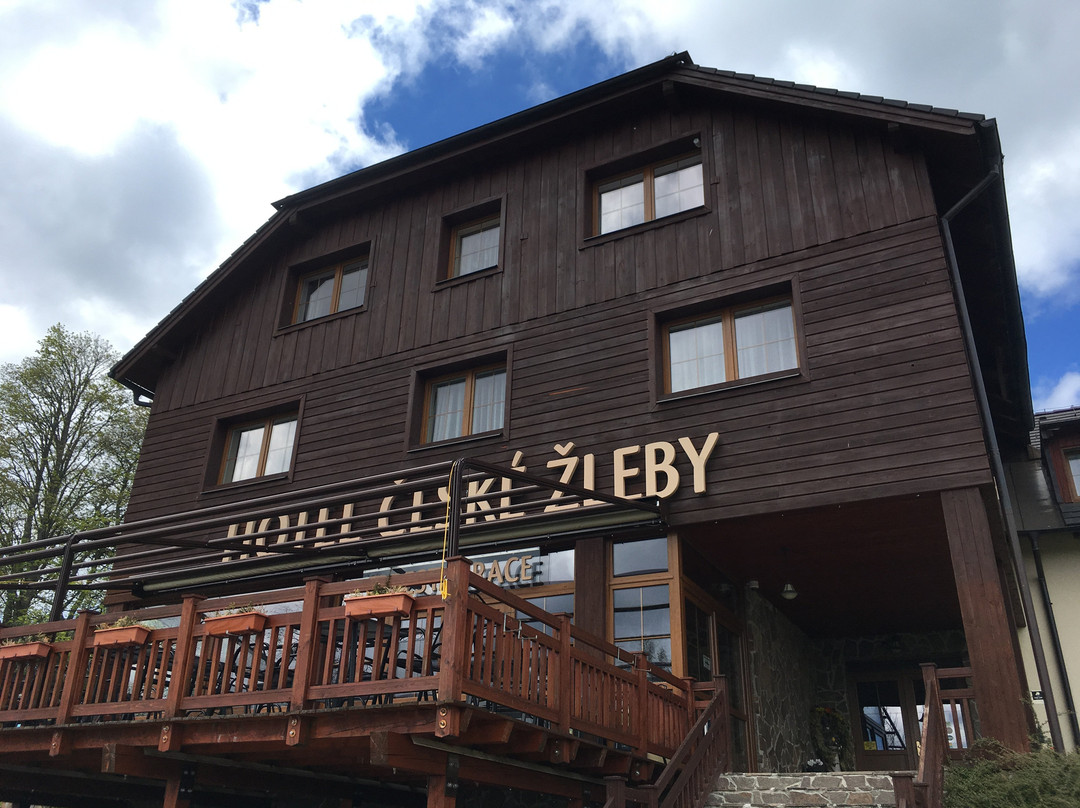 Hotel Ceske Zleby主图