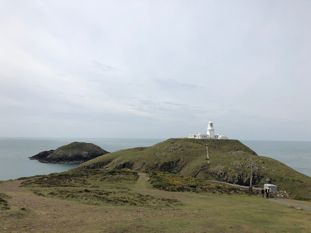 Pembrokeshire Safari Tours景点图片