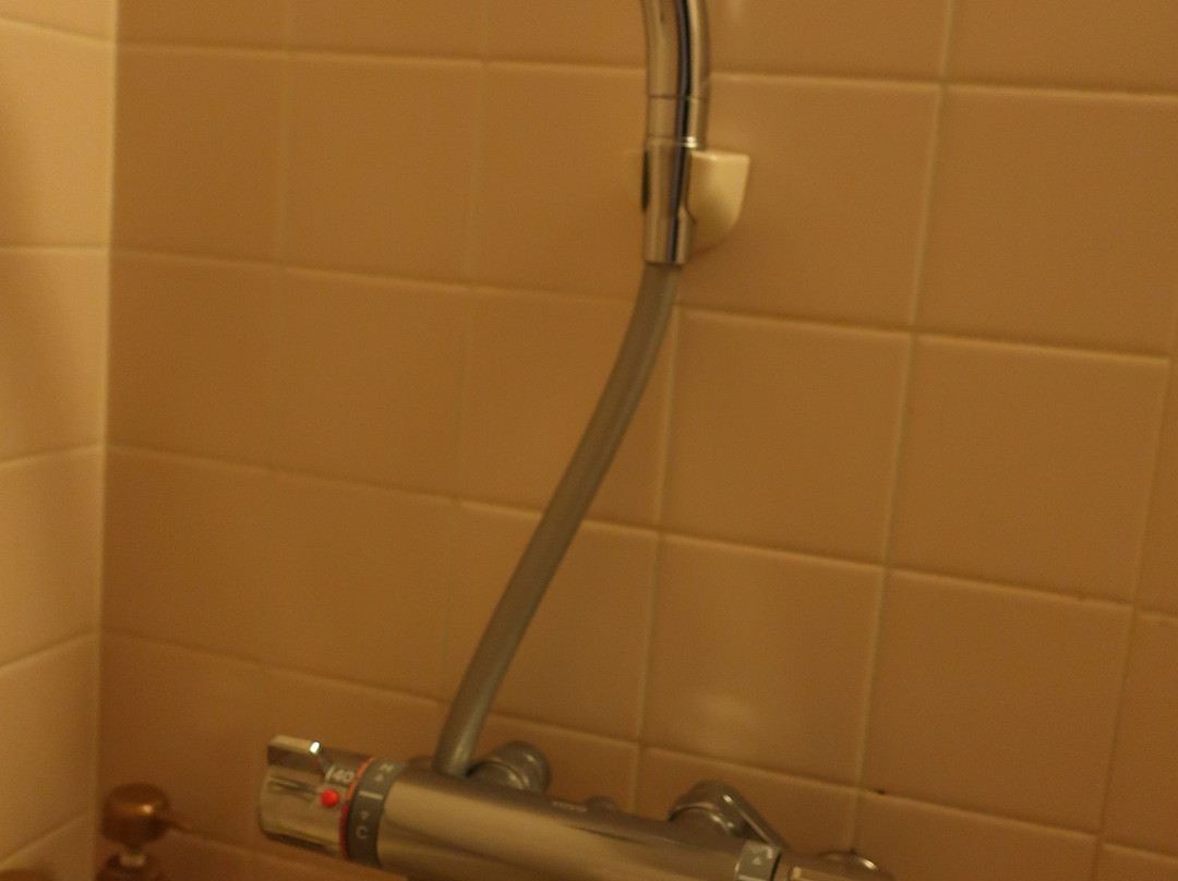 Tsuyama Kakuzan Hotel主图