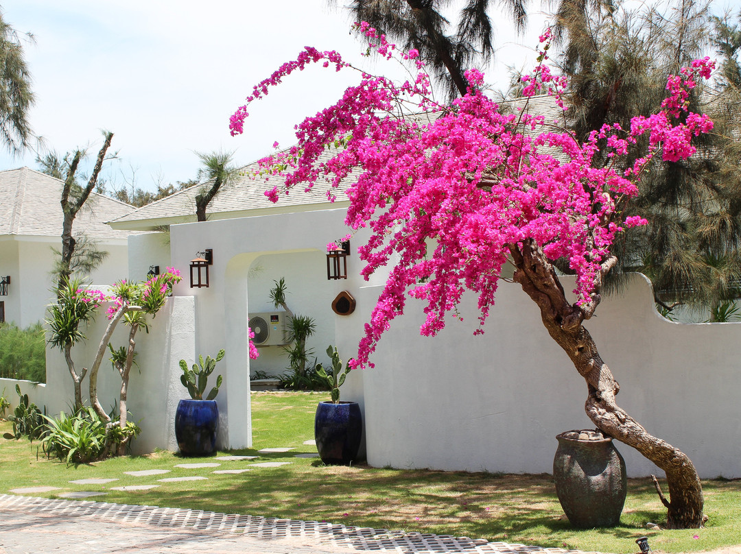 Stelia Beach Resort主图