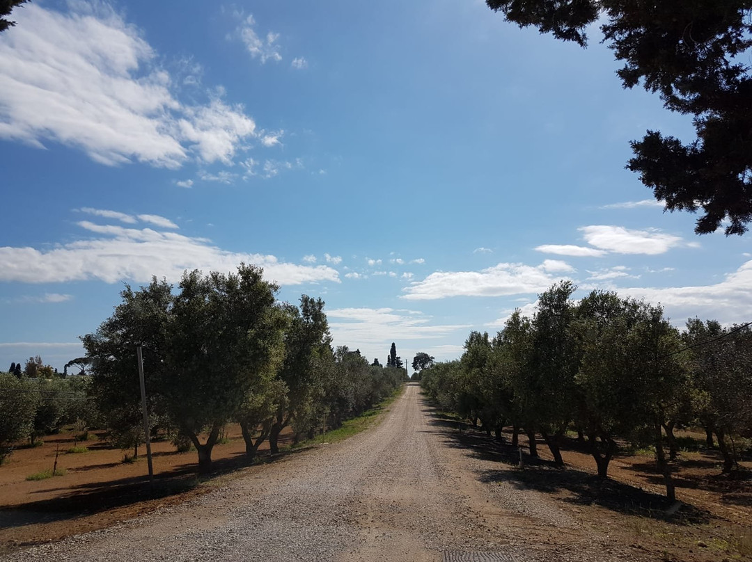 Bio Agriturismo Lu Panaru主图