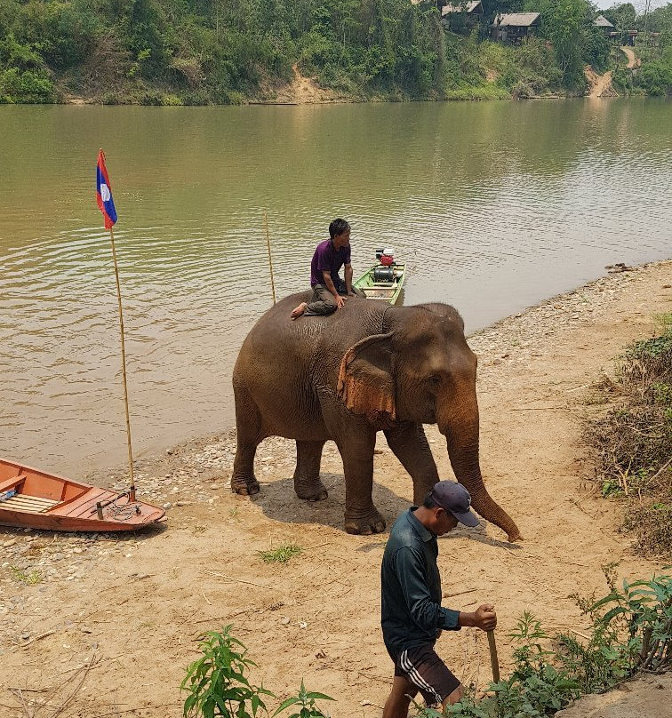 Elephant Village Sanctuary & Resort景点图片