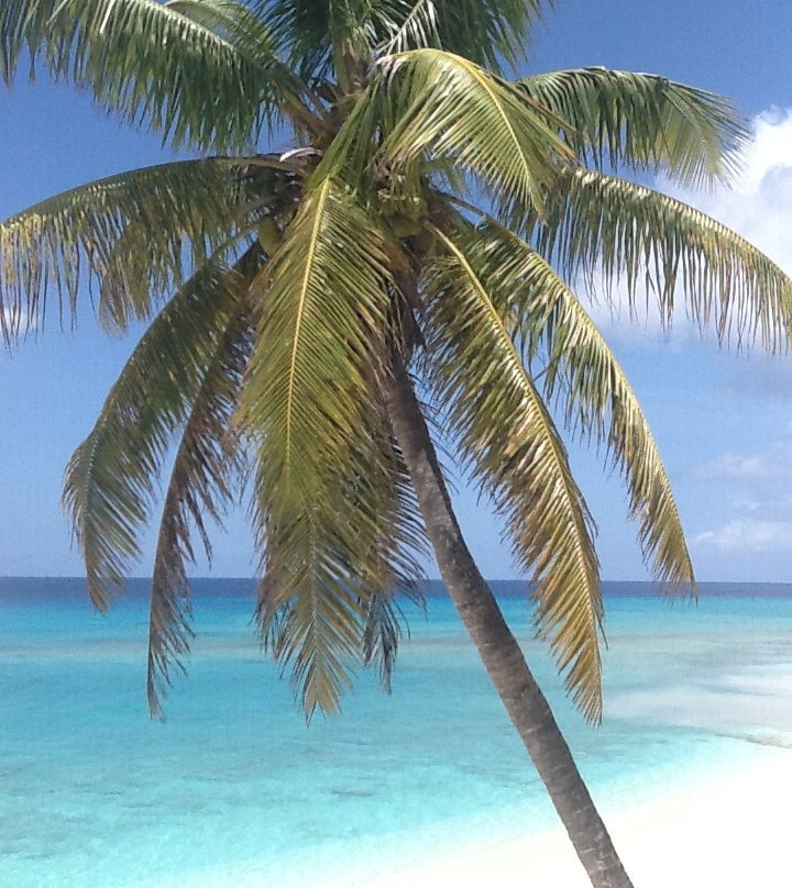 The Sands Hotel主图