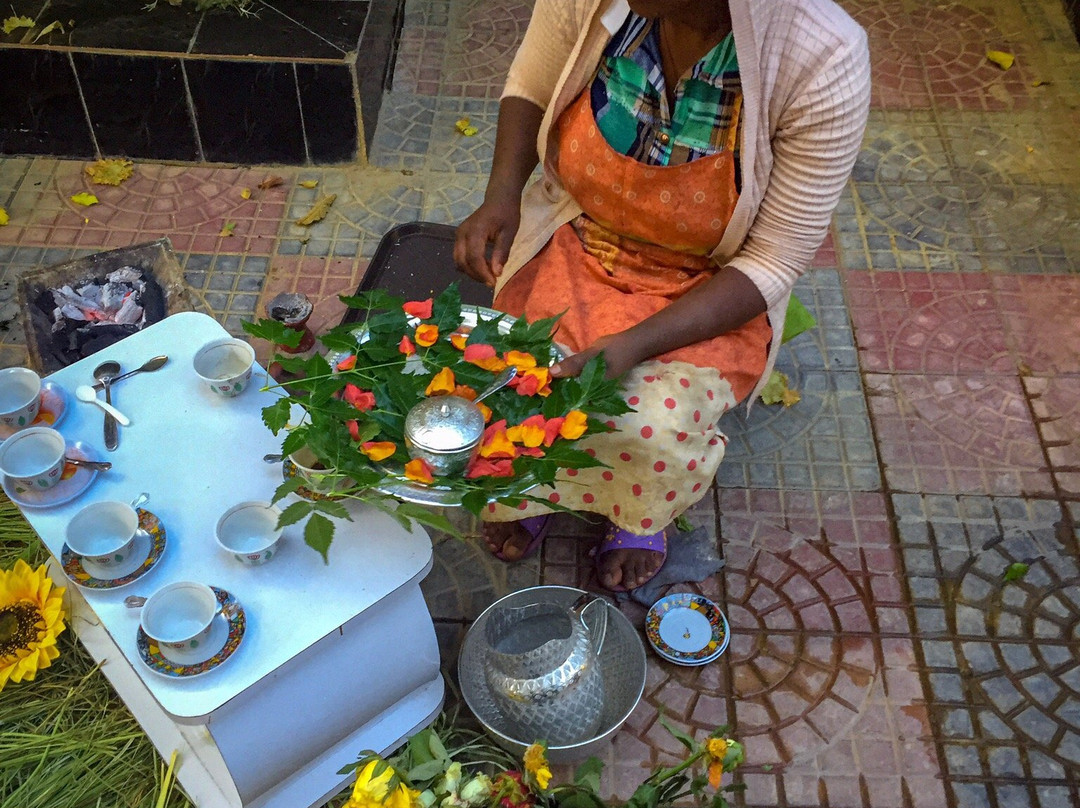 Parrot Pension & Guest House主图