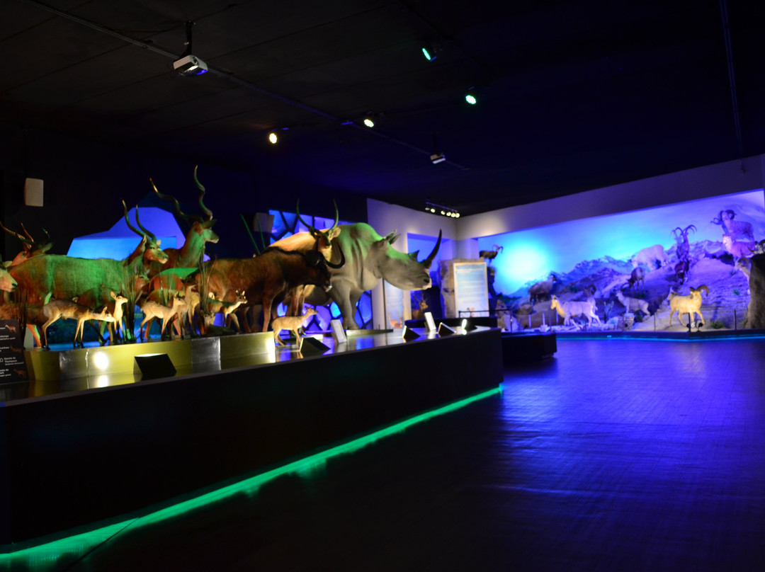 Museo de la Evolucion Puebla (Museum of Evolution Puebla)景点图片