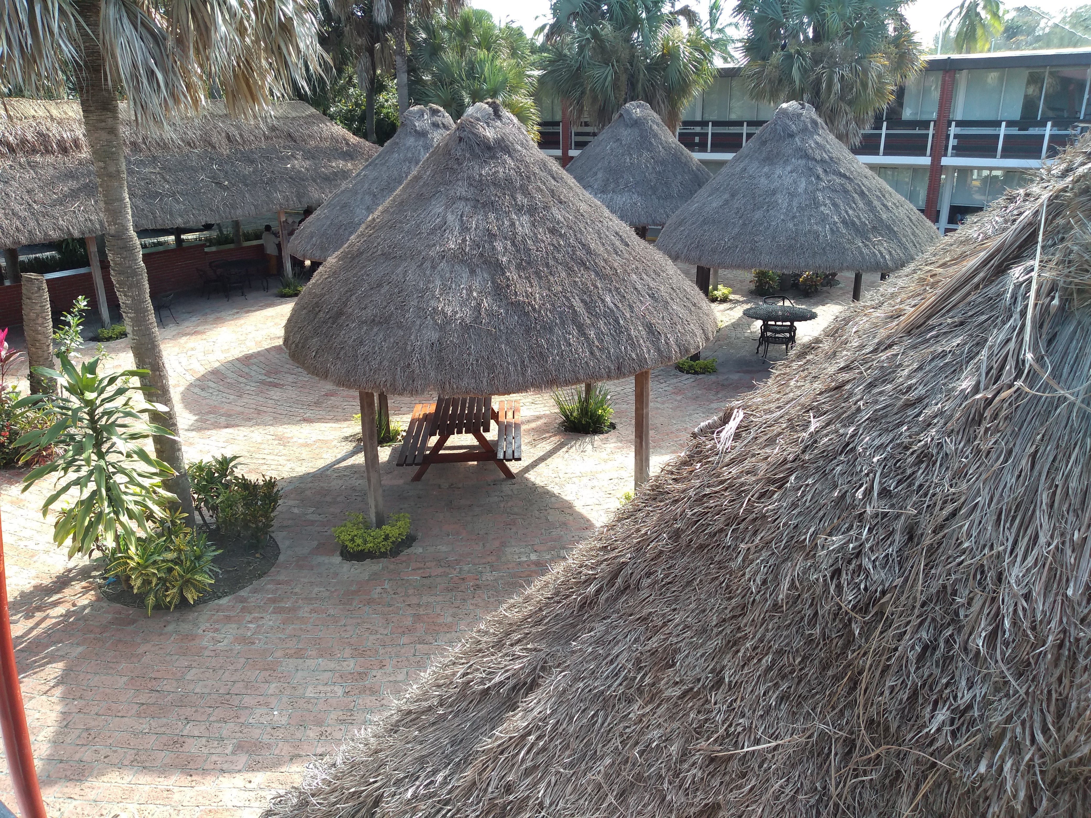 Hotel Plaza Palmas-泳池