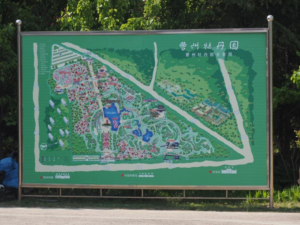 曹州牡丹园菏泽国际牡丹文化旅游节景点图片