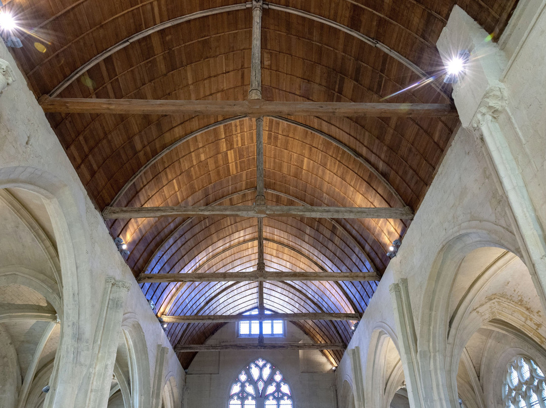 Eglise Saint Pierre-桑利斯必去景点