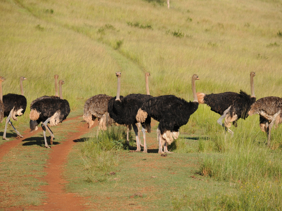 Koubad Farm Lodge主图