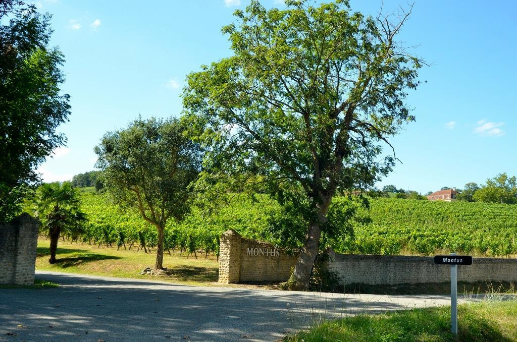 Château Bouscassé景点图片