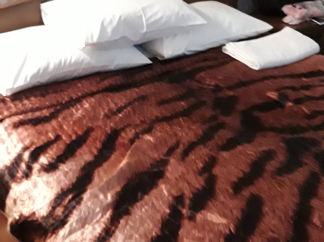 Guest House Pegas主图
