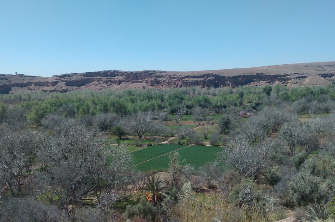 Kasbah Tasseurte主图