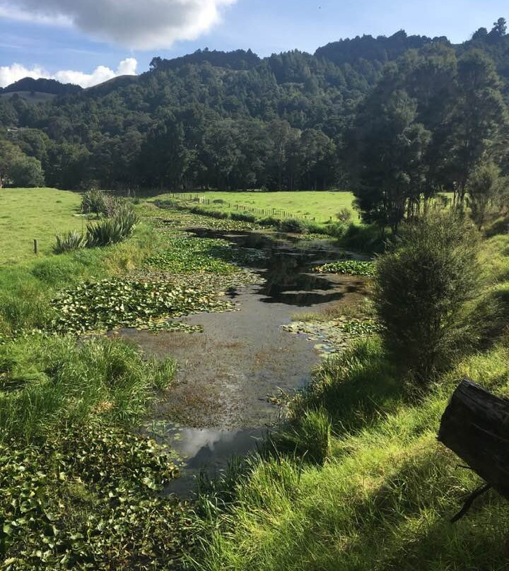 Pou Herenga Tai Twin Coast Cycle Trail景点图片