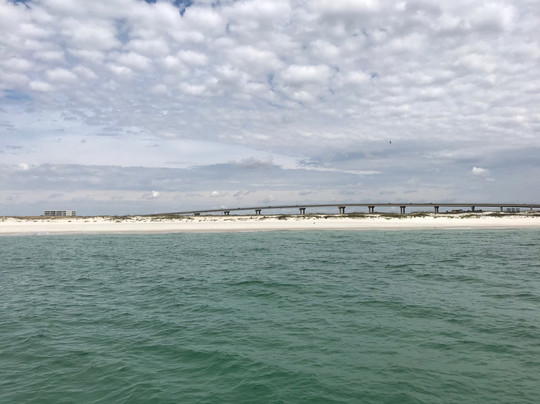Glass Bottom Dolphin Tours-橙色海湾必去景点