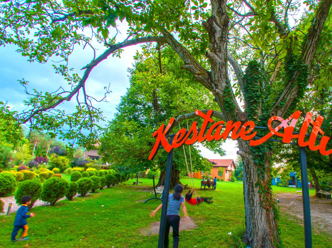 Kestane Alti