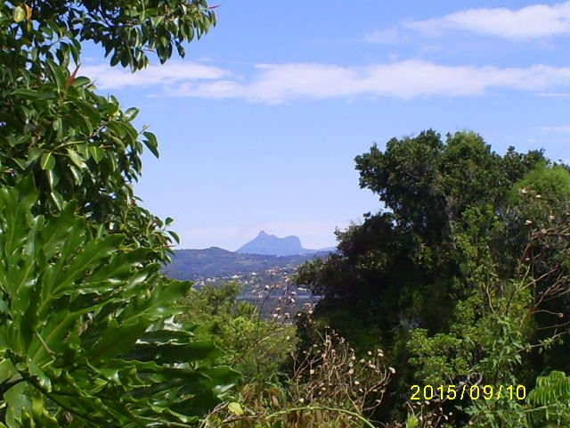 Mount Warning Summit Trail景点图片