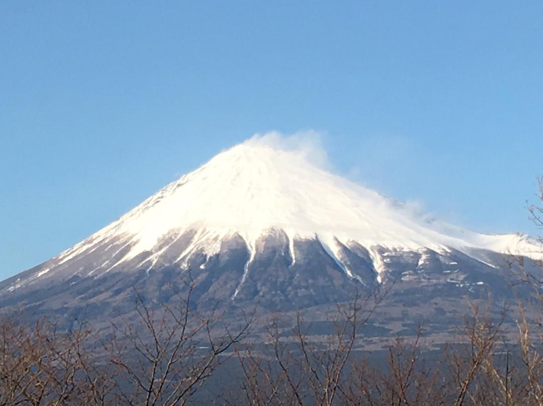 Iwamotoyama Park景点图片