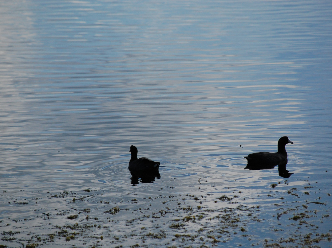 Marshall Hampton Reserve-温特黑文必去景点