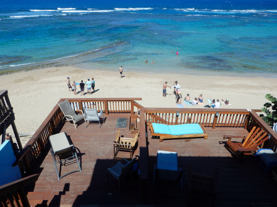 Villa Tropical Oceanfront Apartments on Shacks Beach主图