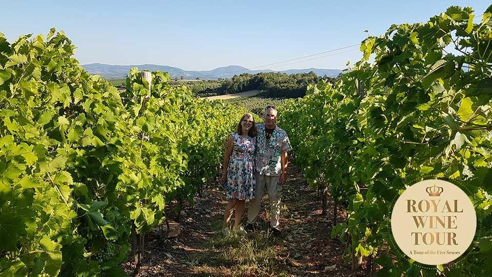 Vinski Turizam