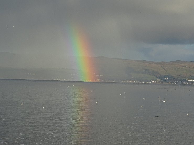 Wild Bute-Isle of Bute必去景点