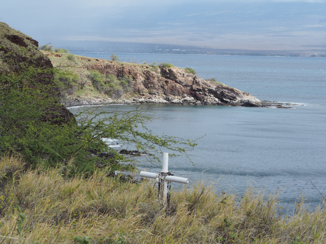 Papawai Scenic Lookout景点图片