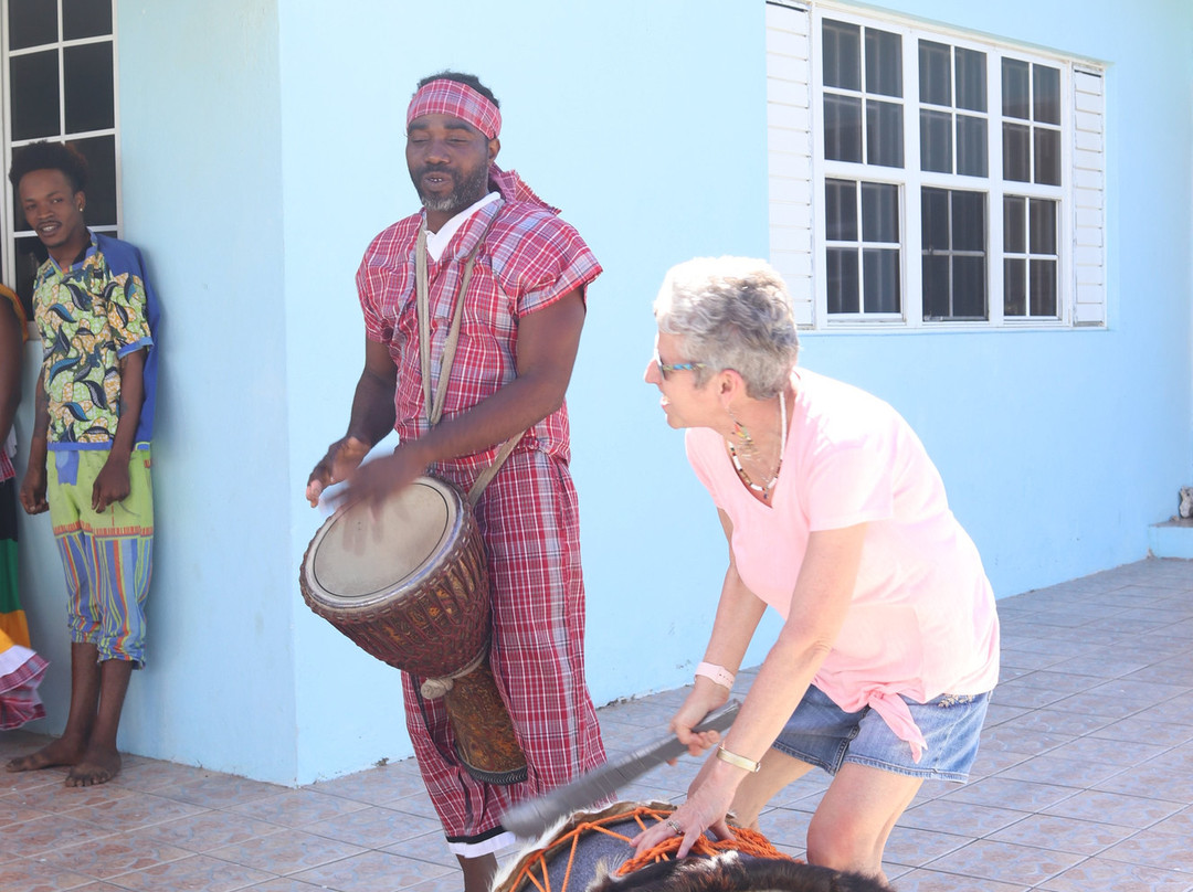 Taste of Jamaica Authentic Tour-奥乔里奥斯必去景点