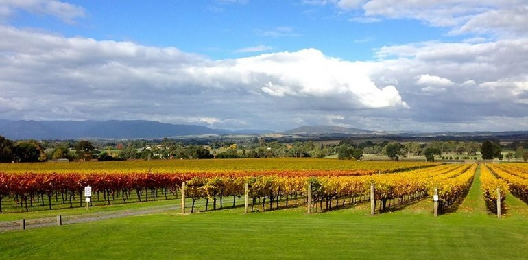 Greenstone Vineyards-亚拉格林必去景点