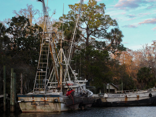 Osprey Guide Services - Tours-Yankeetown必去景点