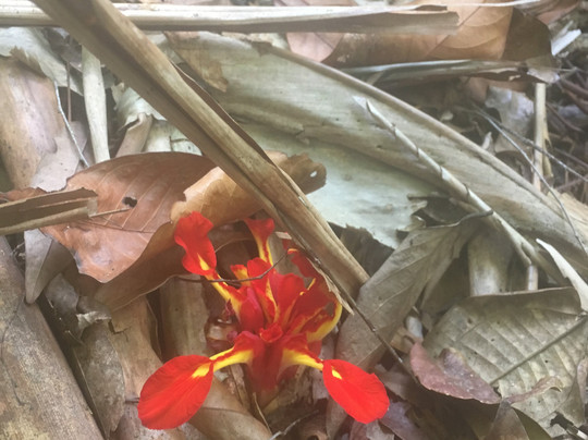 Gunung Hitam-Hulu Langat District必去景点