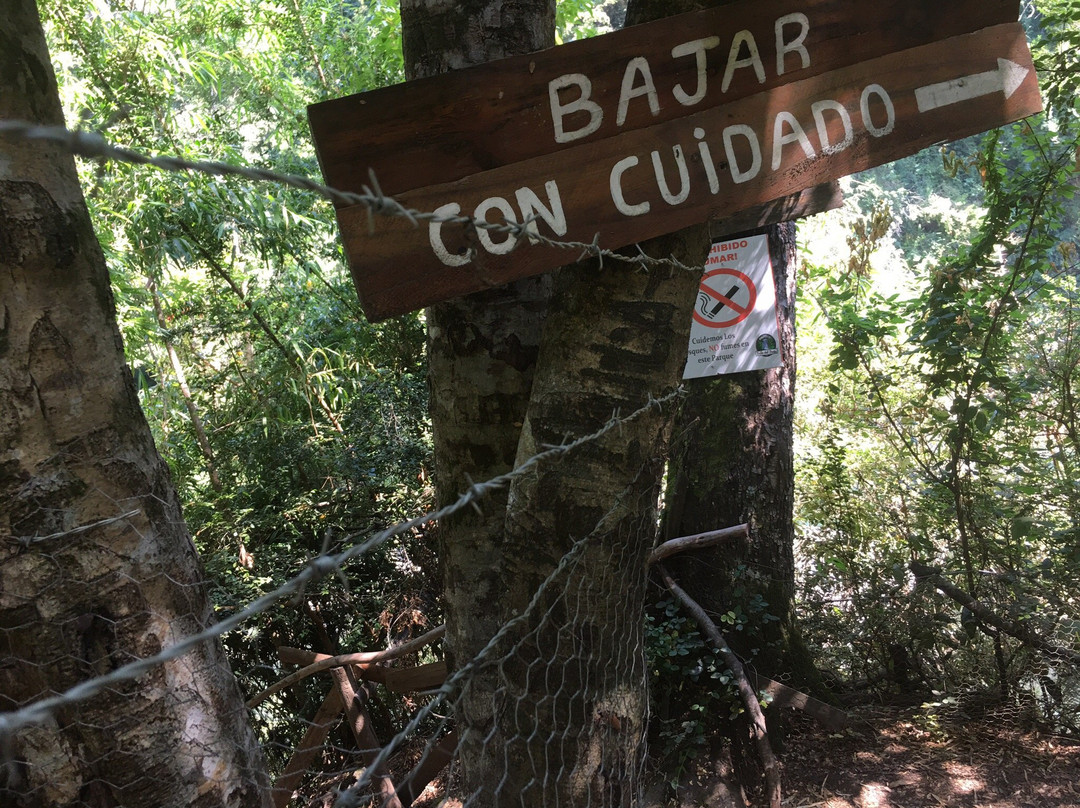 Salto del Indio-Curacautin必去景点