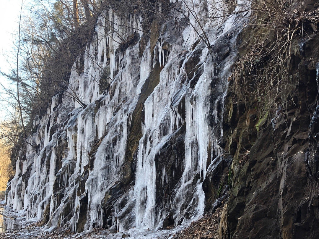 Blackwater Creek Trail景点图片