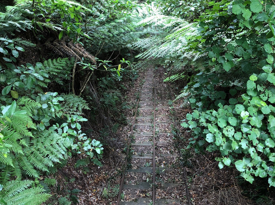 Waiorongomai Valley Tramping Tracks景点图片