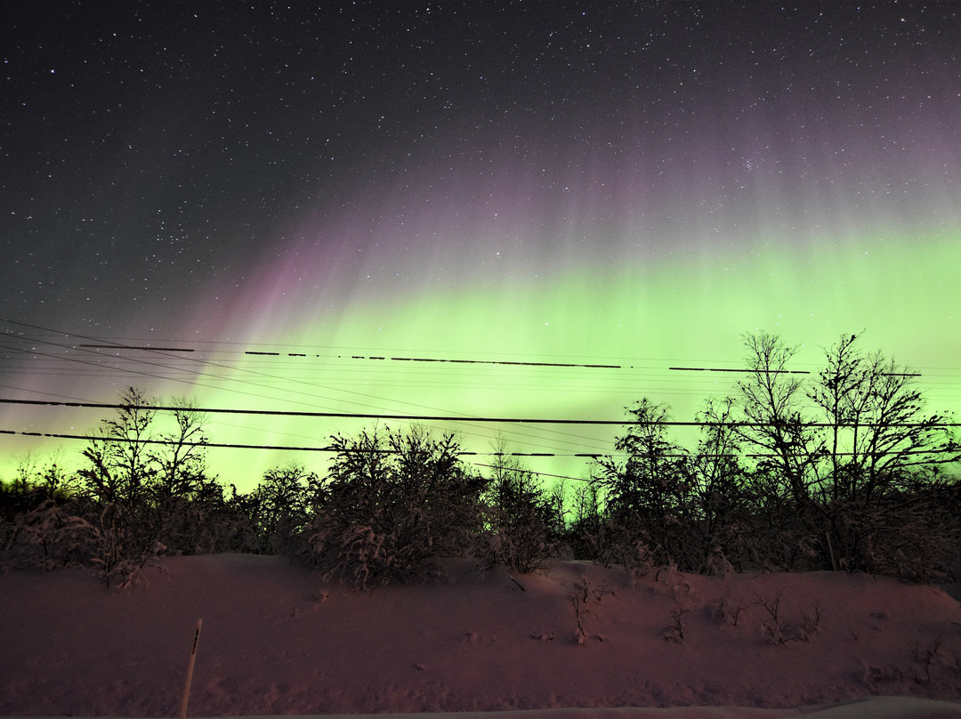 Northern Lights Riders景点图片