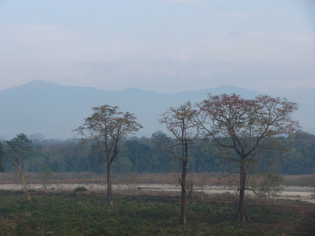 Gorumara Forest景点图片