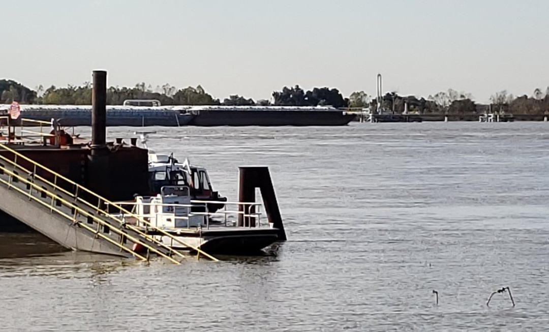 Poche Plantation主图