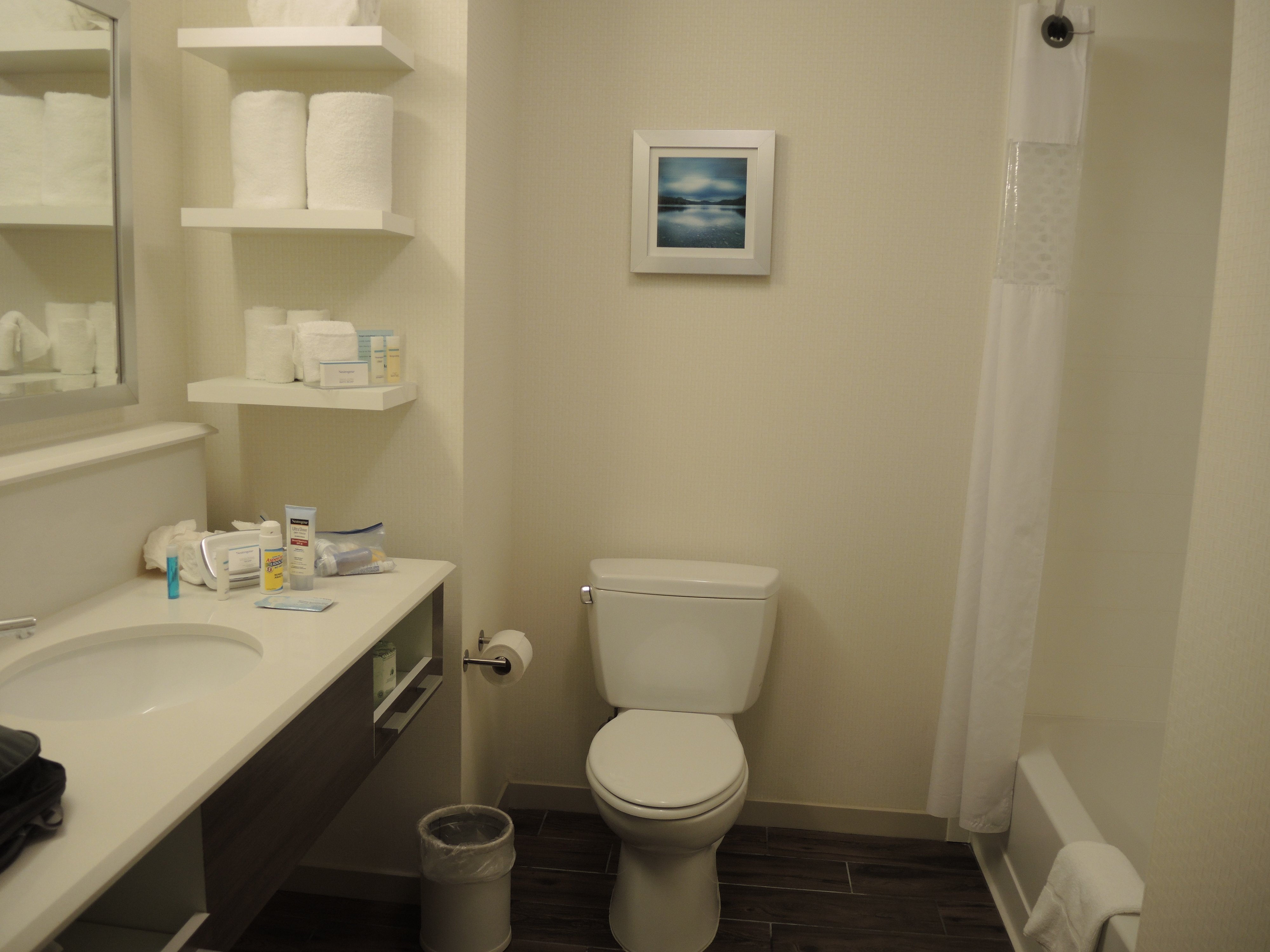 Hampton Inn & Suites Nashville/hendersonville-浴室