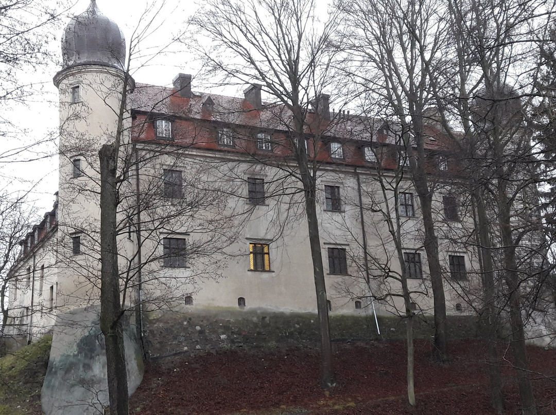 Zamek Tuczno Hotel主图