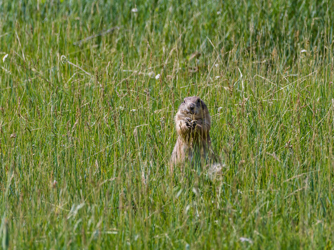 Buckhorn Trail-Theodore Roosevelt National Park必去景点