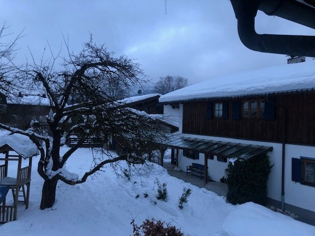 Hotel Alpenhof主图