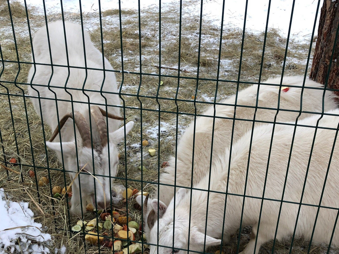 Eco-Park Tayga-Onokhino必去景点