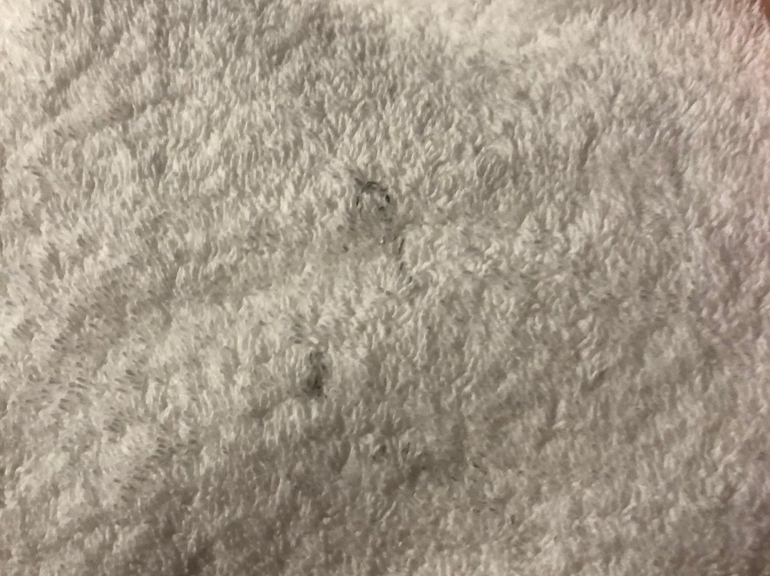 Grand Times Hotel - Quebec City Airport主图